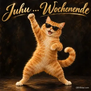 Rote Katze mit Sonnenbrille tanzt, Text: Juhu … Wochenende