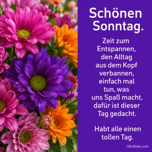 Bunte Chrysanthemen, Text: Schönen Sonntag