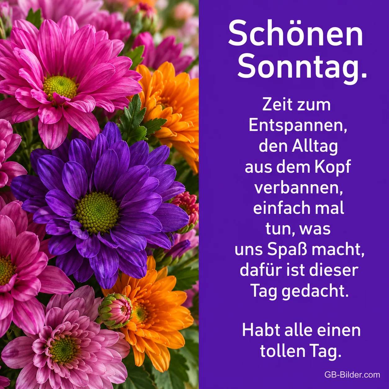 Bunte Chrysanthemen, Text: Schönen Sonntag