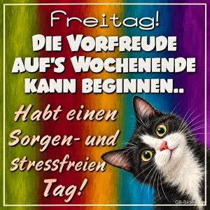 Schwarz-weiße Katze schaut vor bunten Farbstreifen, Text: Freitag! DIE VORFREUDE AUF'S WOCHENENDE KANN BEGINNEN.. Habt einen Sorgen- und stressfreien Tag!
