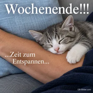 Schlafendes Kätzchen auf einem Arm, Text: Wochenende!!! Zeit zum Entspannen