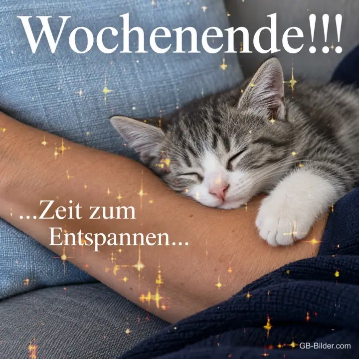 Schlafendes Kätzchen auf einem Arm, Text: Wochenende!!! Zeit zum Entspannen