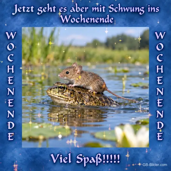 Maus reitet auf einer Kröte, Text: Jetzt geht es aber mit Schwung ins Wochenende – Viel Spaß!