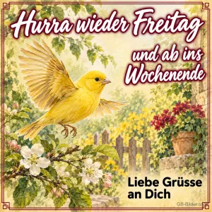Kanarienvogel im Flug, Text: Hurra wieder Freitag und ab ins Wochenende