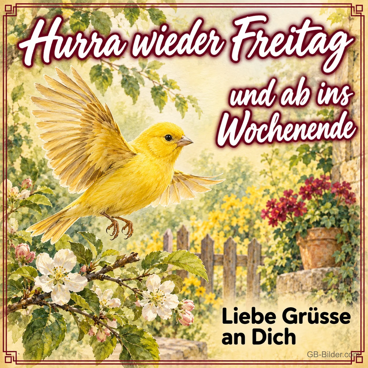 Kanarienvogel im Flug, Text: Hurra wieder Freitag und ab ins Wochenende