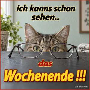 Katze mit Brille, lustiger Spruch, Text: ich kanns schon sehen