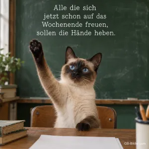 Siamkatze hebt die Pfote, Text: Alle die sich jetzt schon auf das Wochenende freuen, sollen die Hände 