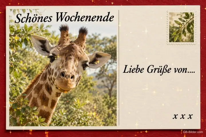 Postkarte mit Giraffe, Text: Schönes Wochenende – Liebe Grüße von