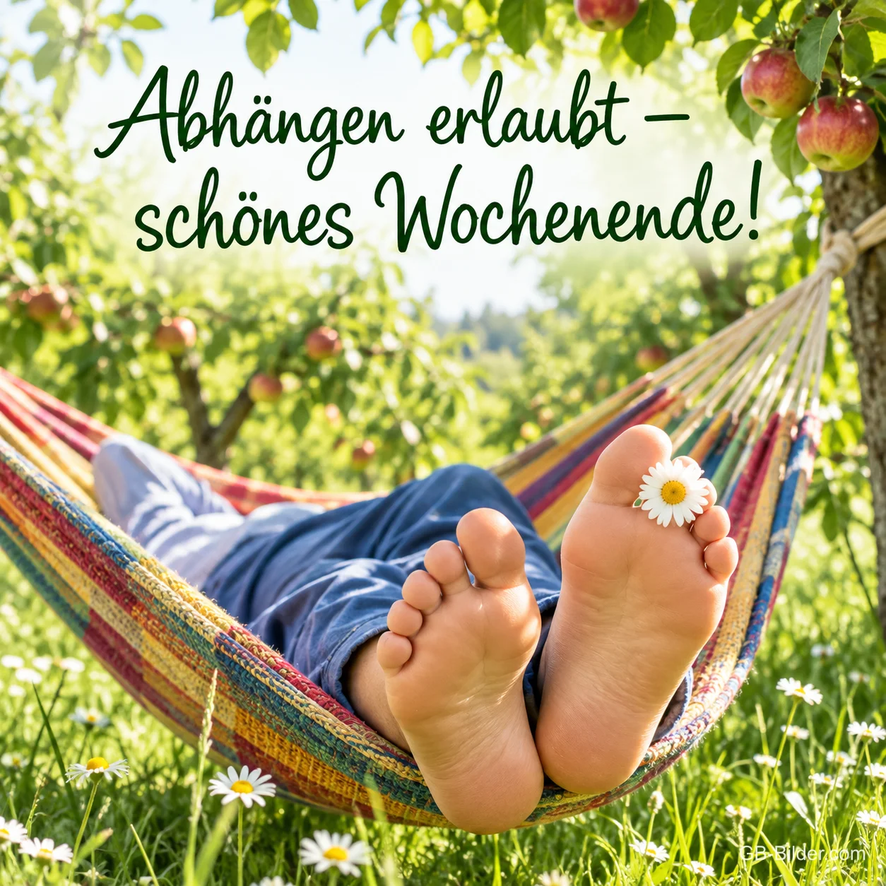 Nackte Füße mit Gänseblümchen schauen aus einer bunten Hängematte unter Apfelbäumen, Text: Abhängen erlaubt – schönes Wochenende!