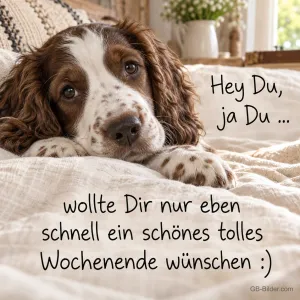 Spanielwelpe liegt auf einer weißen Bettdecke, Text: Hey Du, ja Du … wollte Dir nur eben schnell ein schönes tolles Wochenende wünschen :)