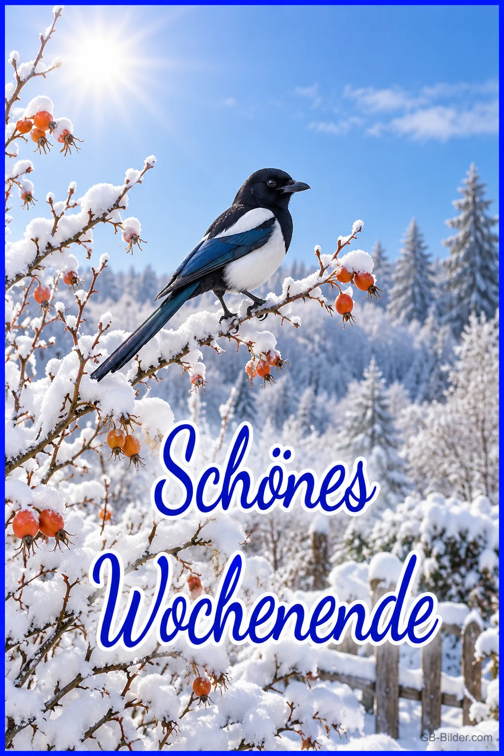 Elster auf einem verschneiten Zweig mit Hagebutten, Text: Schönes Wochenende
