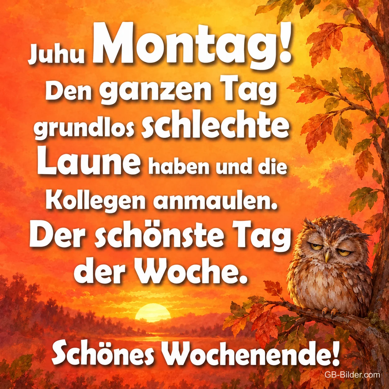 Müde Eule auf einem Ast im orangen Abendlicht, Text: Juhu Montag! Den ganzen Tag grundlos schlechte Laune haben und die Kollegen anmaulen. Der schönste Tag der Woche. Schönes Wochenende!