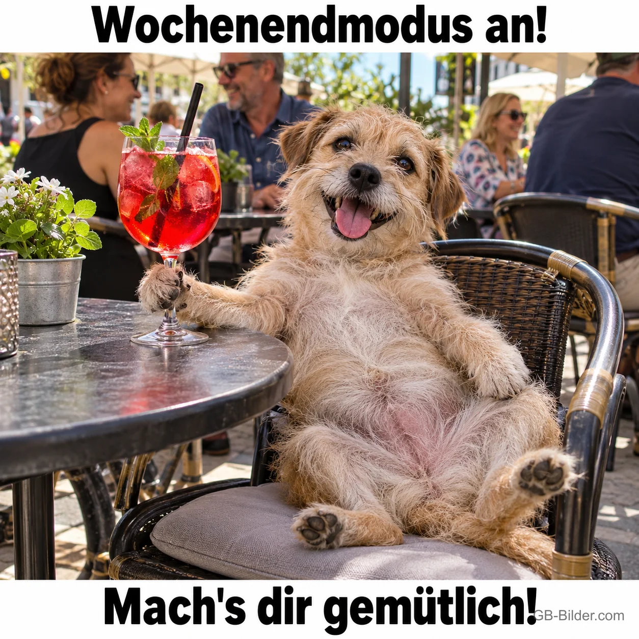 Hund sitzt lachend mit einem Cocktail im Straßencafé, Text: Wochenendmodus an! Mach's dir gemütlich!