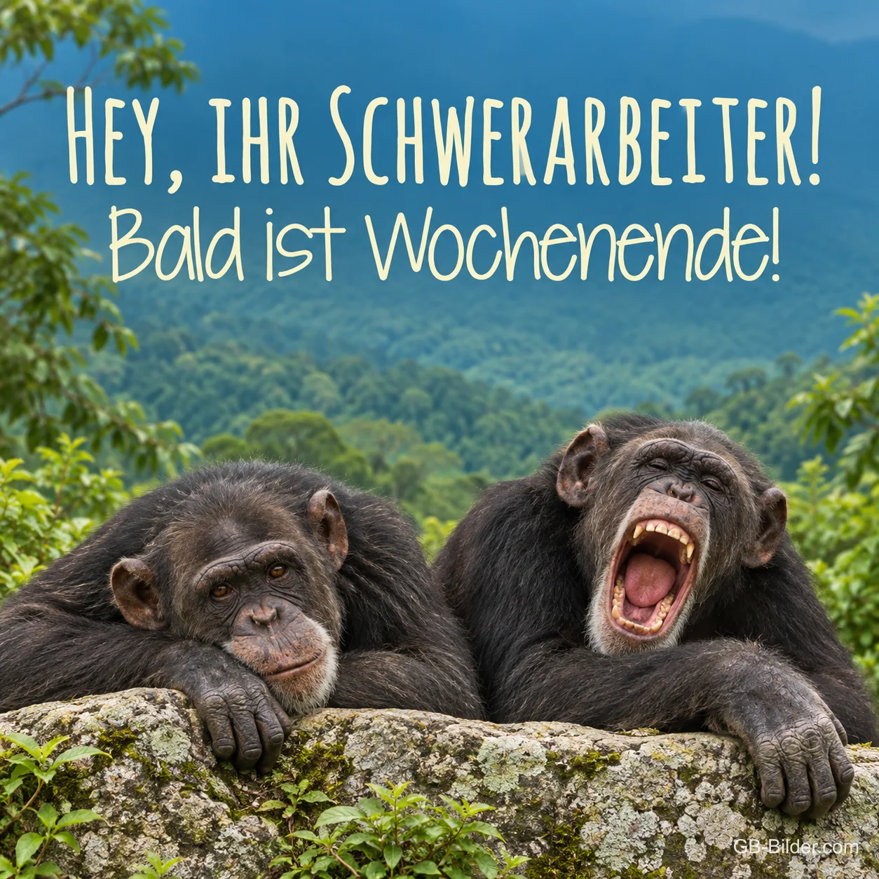 Zwei Schimpansen liegen auf einem Felsen, einer lacht laut, Text: Hey, ihr Schwerarbeiter! Bald ist Wochenende!