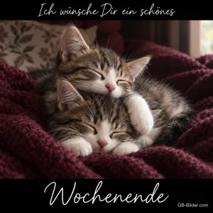 Zwei Kätzchen schlafen eng aneinander auf einer roten Decke, Text: Ich wünsche Dir ein schönes Wochenende