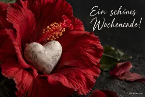 Weißes Steinherz liegt in einer roten Hibiskusblüte, Text: Ein schönes Wochenende!