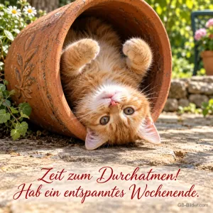 Rotes Kätzchen liegt verspielt in einem umgekippten Tontopf, Text: Zeit zum Durchatmen! Hab ein entspanntes Wochenende.