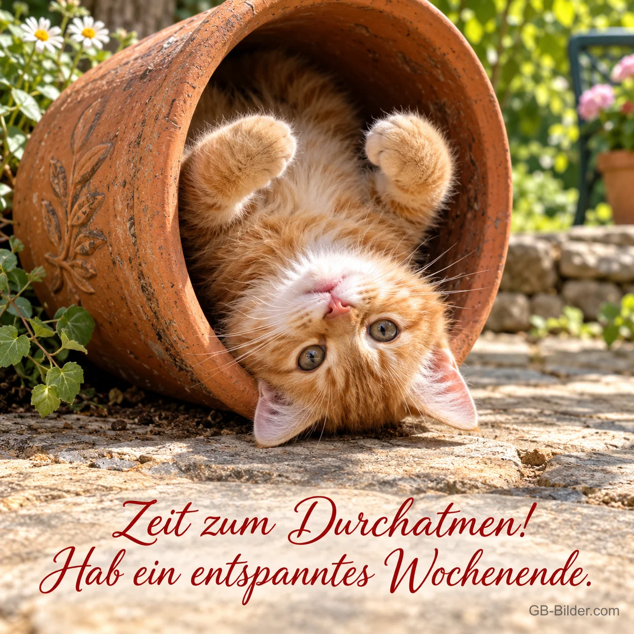 Rotes Kätzchen liegt verspielt in einem umgekippten Tontopf, Text: Zeit zum Durchatmen! Hab ein entspanntes Wochenende.