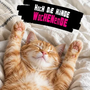 Rote Katze liegt mit erhobenen Pfoten im Bett, Text: HOCH DIE HÄNDE WOCHENENDE