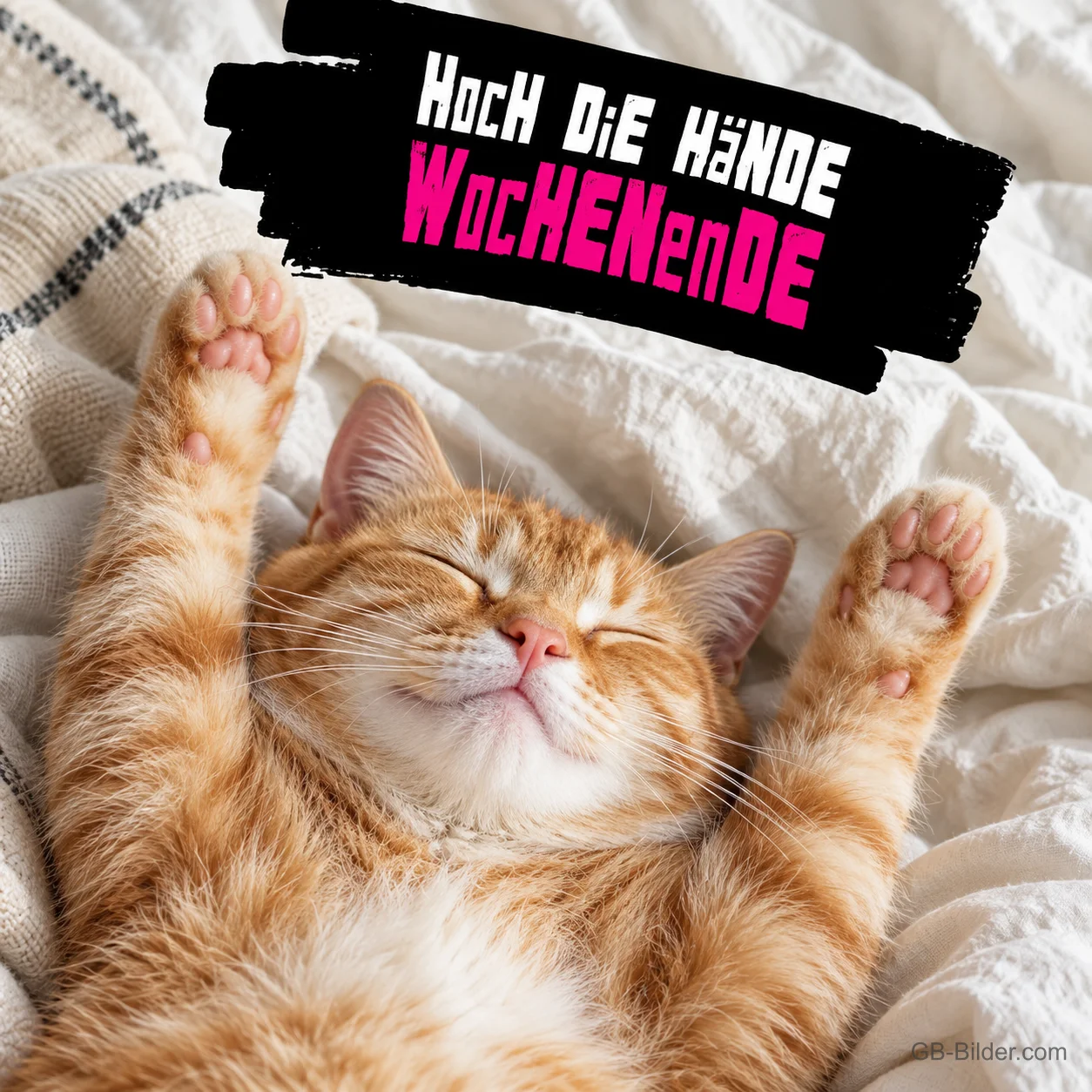 Rote Katze liegt mit erhobenen Pfoten im Bett, Text: HOCH DIE HÄNDE WOCHENENDE