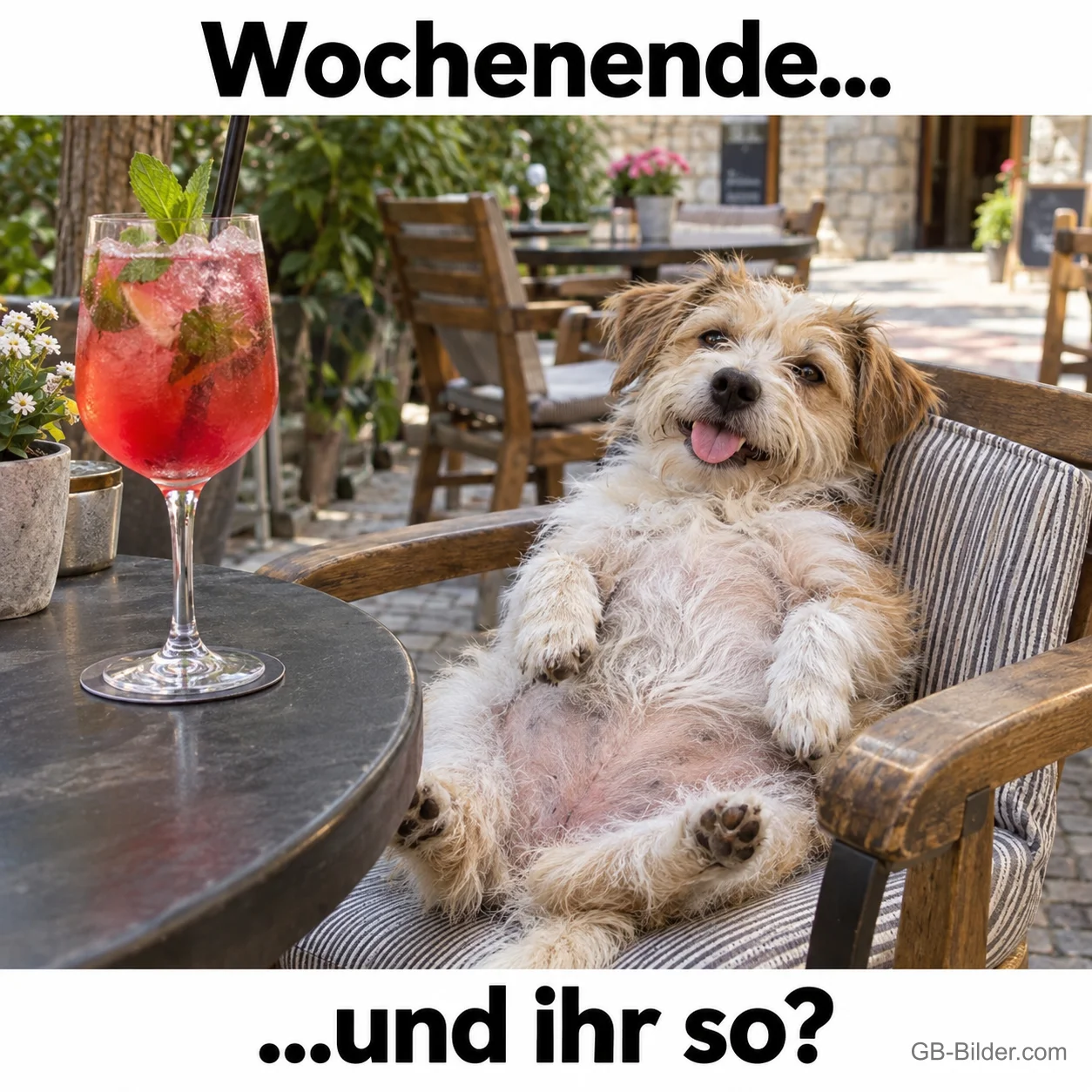 Entspannter Hund mit Cocktail, Text: Wochenende