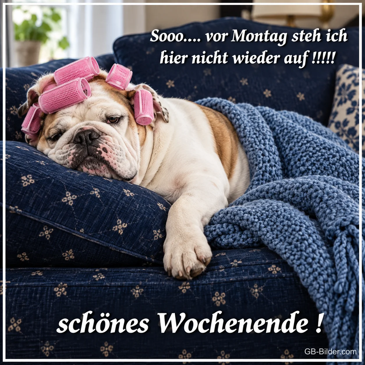 Englische Bulldogge mit rosa Lockenwicklern liegt unter einer Decke auf dem Sofa, Text: Sooo…. vor Montag steh ich hier nicht wieder auf!!!!! Schönes Wochenende!