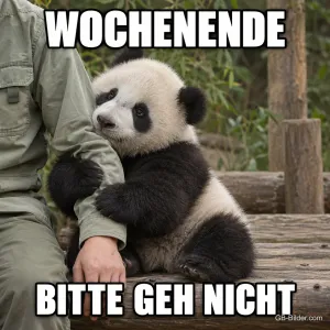 Junger Panda klammert sich an das Bein eines Pflegers, Text: WOCHENENDE – BITTE GEH NICHT