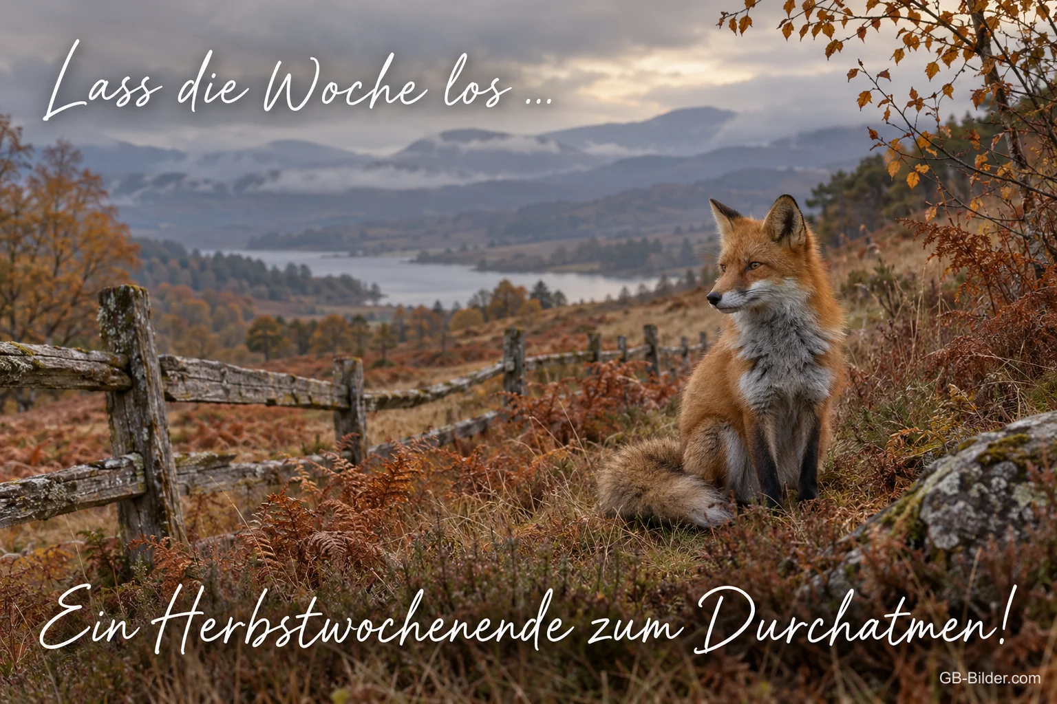 Fuchs in der Herbstheide, Text: Lass die Woche los