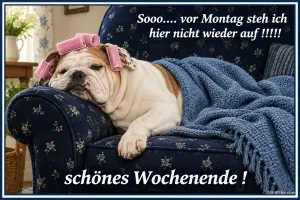 Englische Bulldogge mit Lockenwicklern liegt unter einer Decke auf dem Sofa, Text: Sooo…. vor Montag steh ich hier nicht wieder auf !!!!! schönes Wochenende !