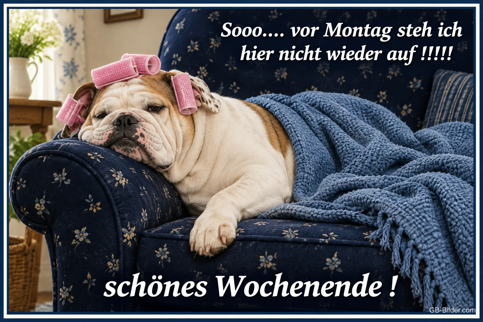 Englische Bulldogge mit Lockenwicklern liegt unter einer Decke auf dem Sofa, Text: Sooo…. vor Montag steh ich hier nicht wieder auf !!!!! schönes Wochenende !