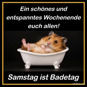 Hamster liegt in einer kleinen Badewanne, Text: Ein schönes und entspanntes Wochenende euch allen! Samstag ist Badetag