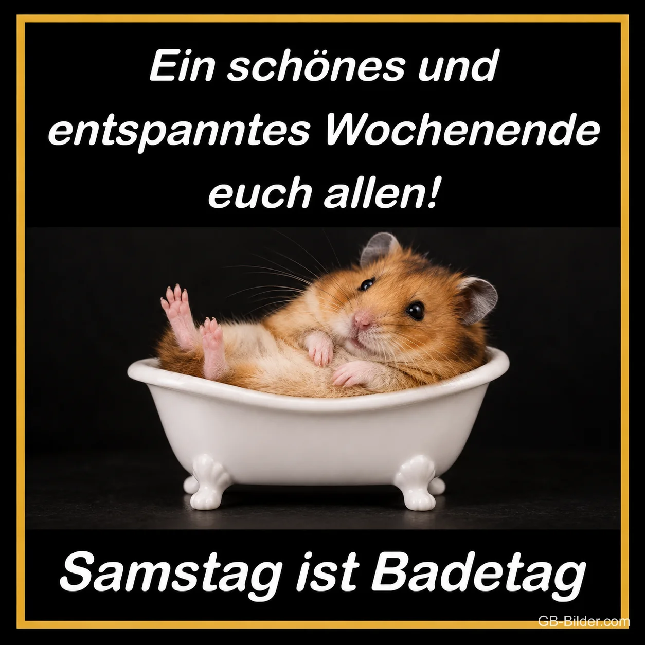 Hamster liegt in einer kleinen Badewanne, Text: Ein schönes und entspanntes Wochenende euch allen! Samstag ist Badetag