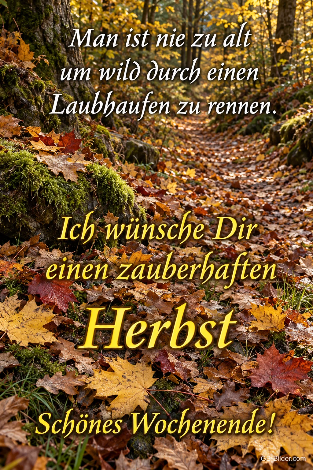 Waldweg voller Herbstlaub, Text: Man ist nie zu alt um wild durch einen Laubhaufen zu rennen. Ich wünsche Dir einen zauberhaften Herbst – Schönes Wochenende!