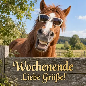 Pferd mit Sonnenbrille lacht über einen Holzzaun, Text: Wochenende – Liebe Grüße!
