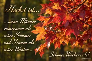 Rotes und orangefarbenes Herbstlaub, Text: Herbst ist… wenn Männer rumrennen als wäre Sommer und Frauen als wäre Winter… Schönes Wochenende!