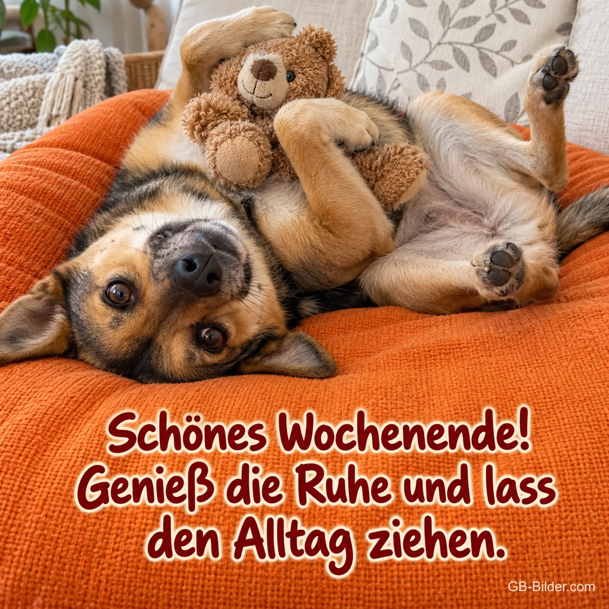 Hund liegt verdreht mit Teddy auf einem orangen Sofa, Text: Schönes Wochenende! Genieß die Ruhe und lass den Alltag ziehen.