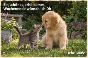 Welpe und Kätzchen stupsen sich mit der Nase an, Text: Ein schönes, erholsames Wochenende wünsch ich Dir. Liebe Grüße
