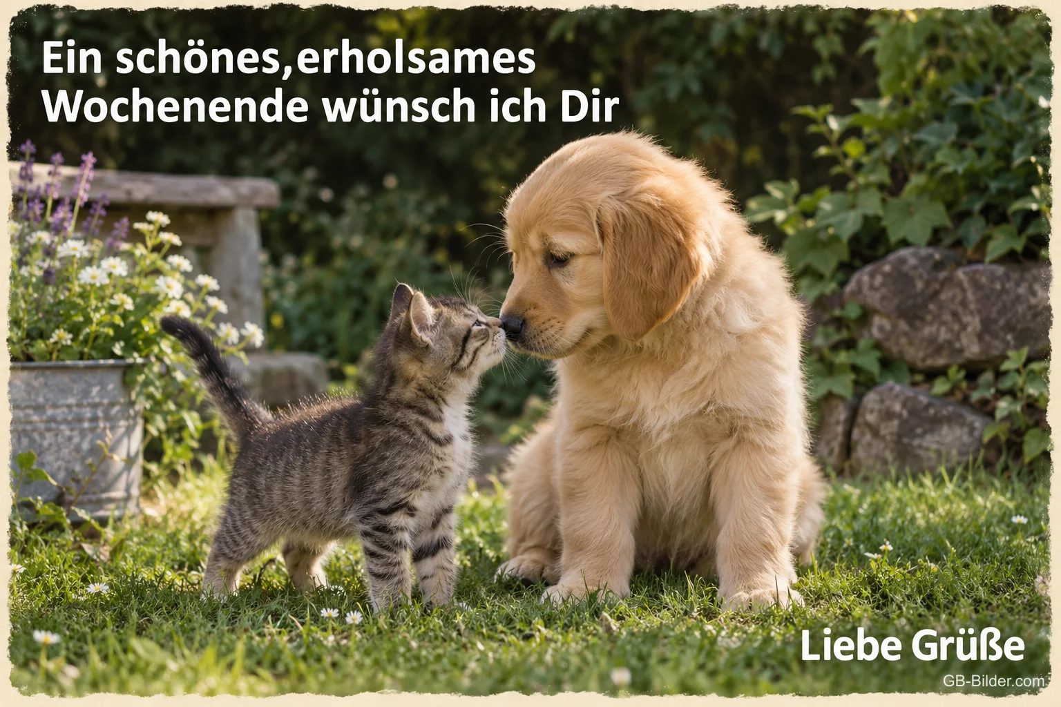 Welpe und Kätzchen stupsen sich mit der Nase an, Text: Ein schönes, erholsames Wochenende wünsch ich Dir. Liebe Grüße