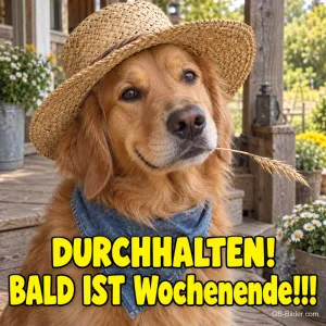 Golden Retriever mit Strohhut und Halstuch auf der Veranda, Text: DURCHHALTEN! BALD IST Wochenende!!!