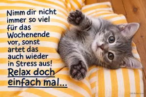 Graues Kätzchen räkelt sich mit ausgestreckten Pfoten auf gestreiftem Kissen, Text: Nimm dir nicht immer so viel für das Wochenende vor, sonst artet das auch wieder in Stress aus! Relax doch einfach mal…