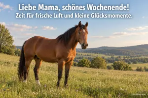 Pferd auf der Hügelwiese, Text: Liebe Mama, schönes Wochenende