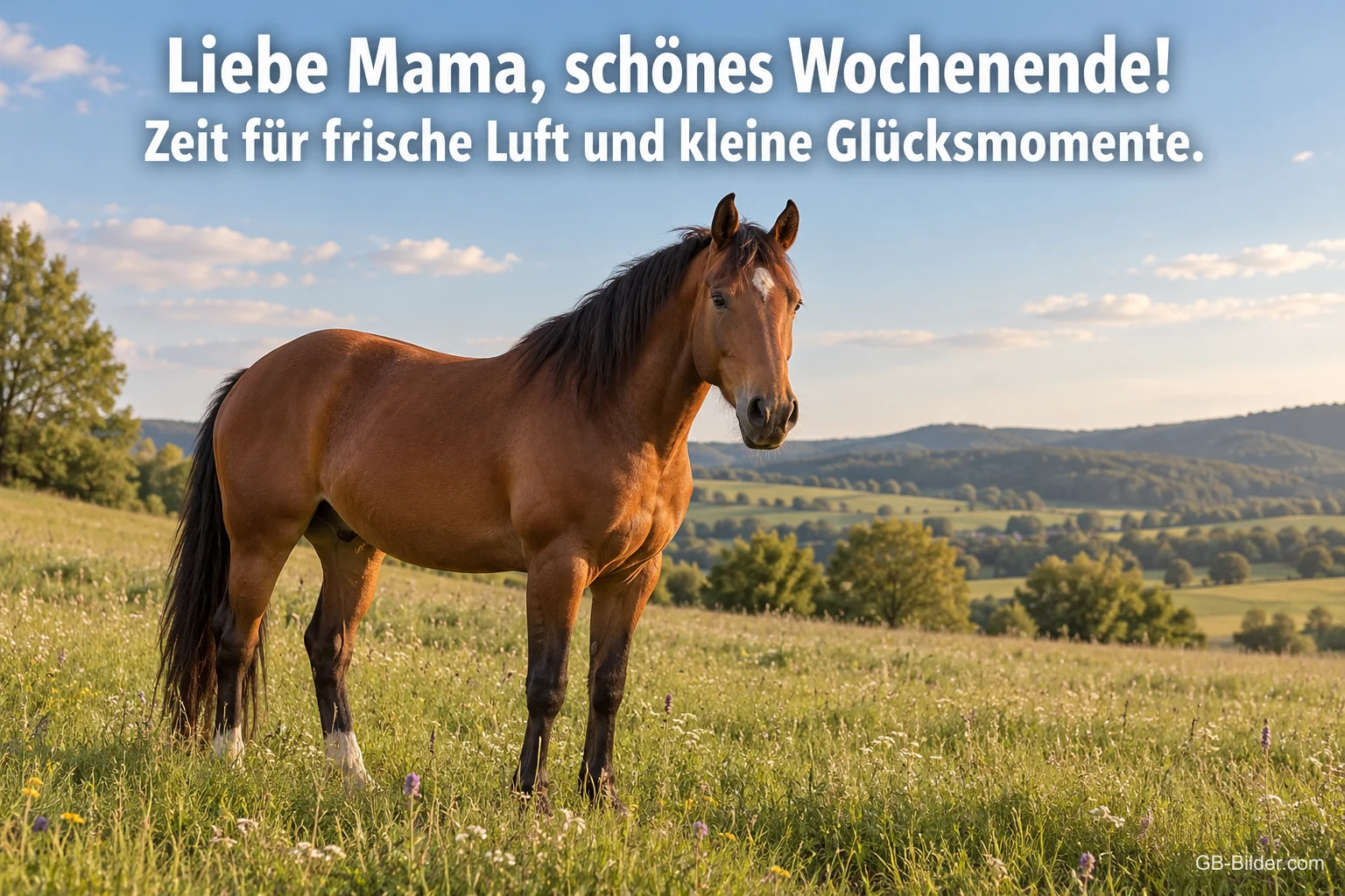 Pferd auf der Hügelwiese, Text: Liebe Mama, schönes Wochenende