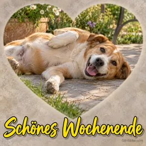 Hund liegt entspannt auf dem Rücken in einem Herzrahmen, Text: Schönes Wochenende