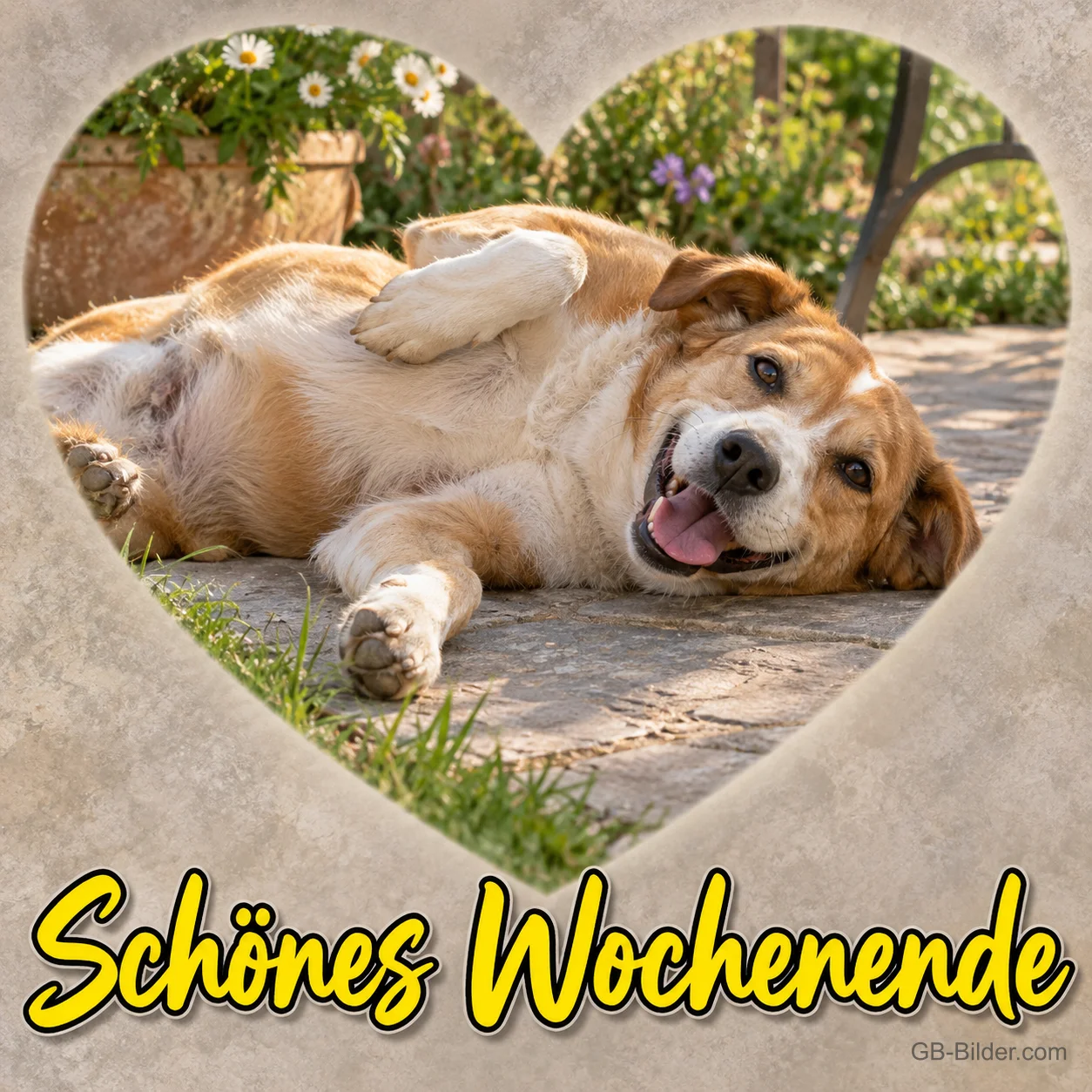 Hund liegt entspannt auf dem Rücken in einem Herzrahmen, Text: Schönes Wochenende