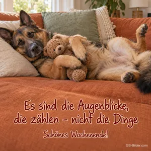 Schäferhund liegt mit einem Teddybären auf dem Sofa, Text: Es sind die Augenblicke, die zählen – nicht die Dinge. Schönes Wochenende!
