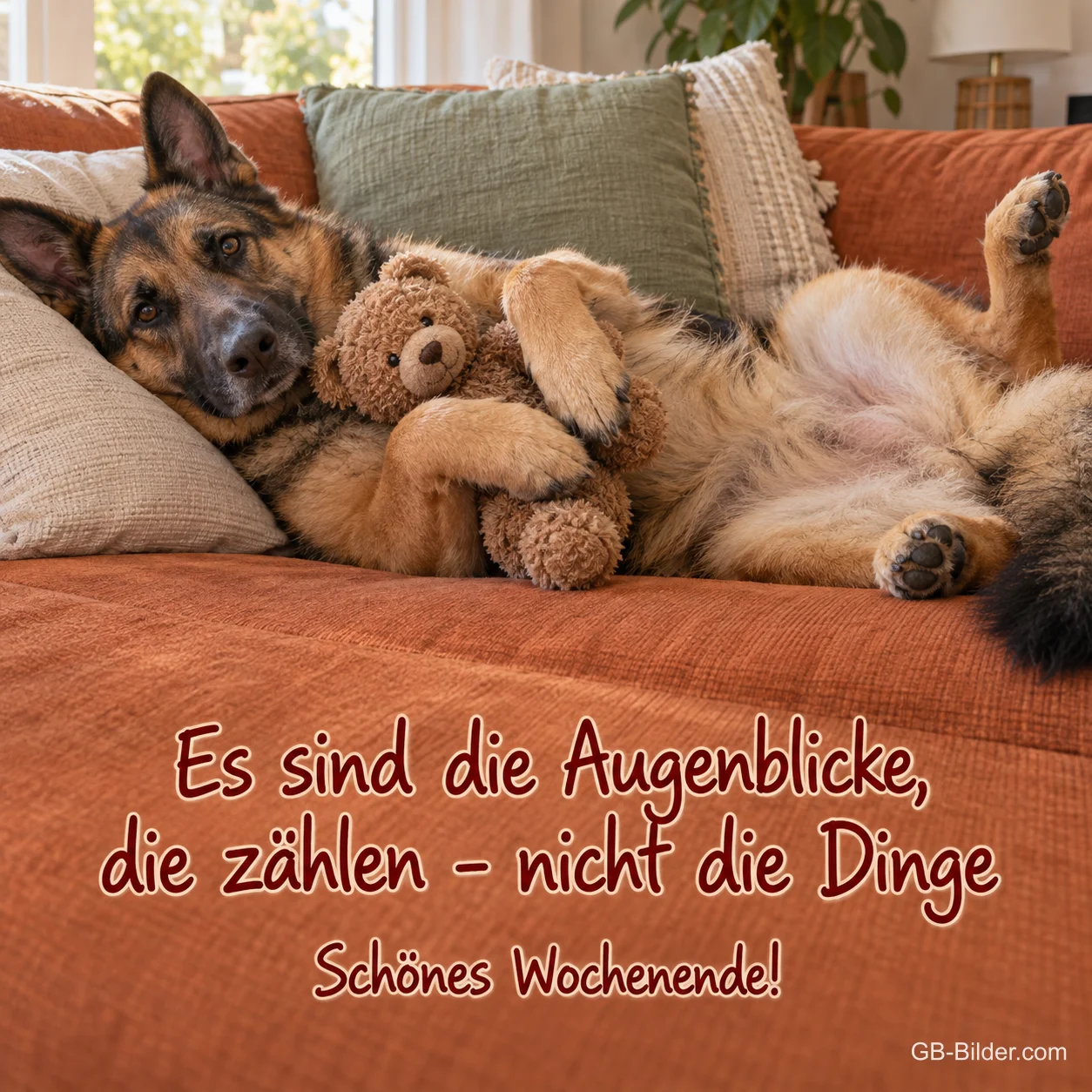 Schäferhund liegt mit einem Teddybären auf dem Sofa, Text: Es sind die Augenblicke, die zählen – nicht die Dinge. Schönes Wochenende!