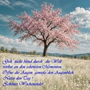 Rosa blühender Baum auf einer Wiese, Text: Geh’ nicht blind durch die Welt vorbei an den schönsten Momenten. Öffne die Augen, genieße den Augenblick. Nutze den Tag! Schönes Wochenende!