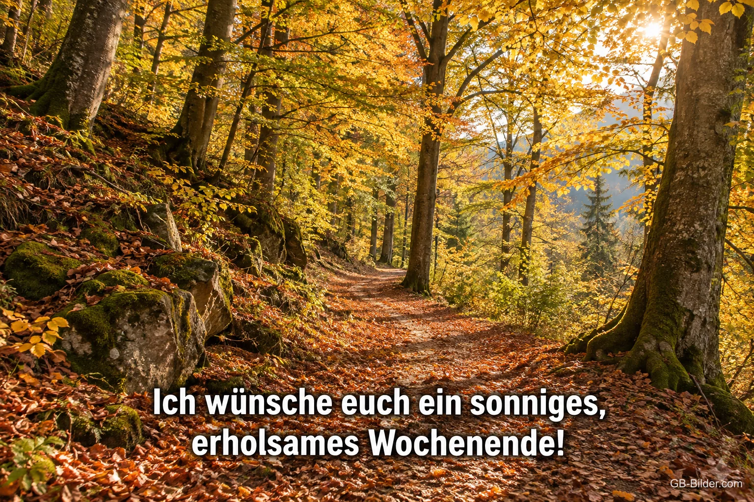 Sonniger Waldweg durch buntes Herbstlaub, Text: Ich wünsche euch ein sonniges, erholsames Wochenende!