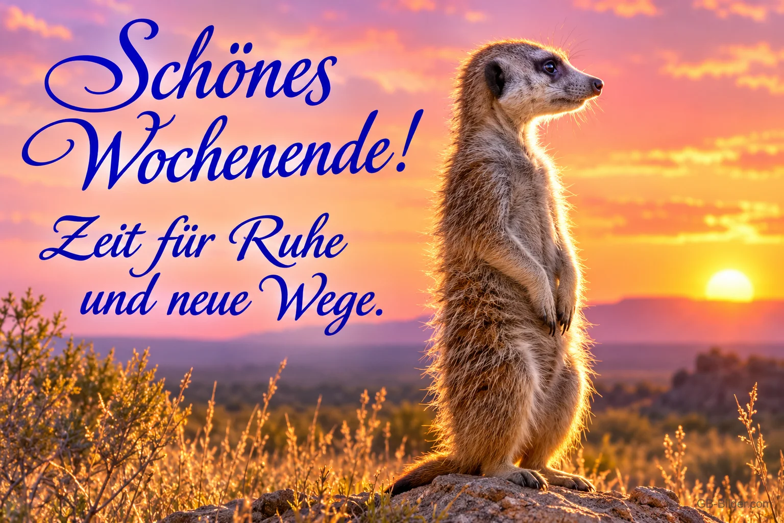 Erdmännchen steht aufrecht vor einem Sonnenuntergang, Text: Schönes Wochenende! Zeit für Ruhe und neue Wege.