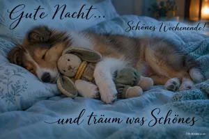 Welpe schläft mit Stofftier auf einer blauen Decke, Text: Gute Nacht… und träum was Schönes – Schönes Wochenende!